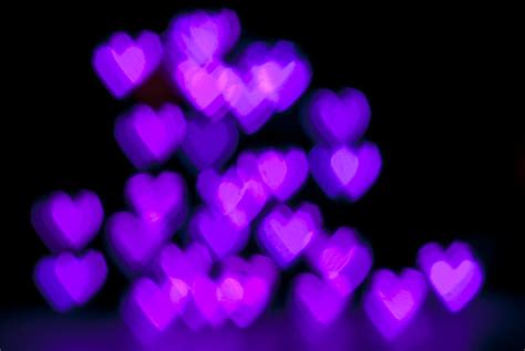 Purple Hearts Flickr Photo Sharing