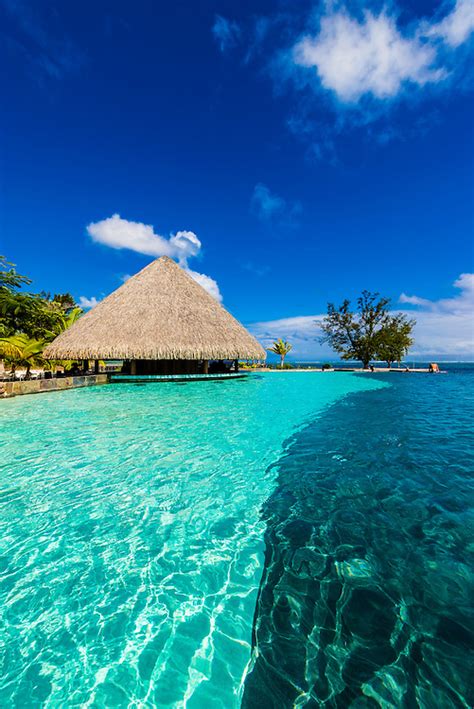 infinity pool manava suite beach resort punaauia tahiti french polynesia blaine