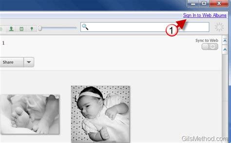 How To Upload Your Pictures To Picasa Web Albums