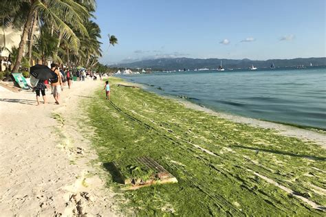 Look Establishments Illegally Connected To Boracay Drainage System Abs Cbn News