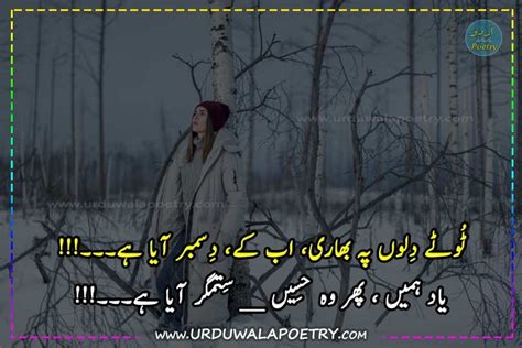 Top 15 Best Sad And Love December Poetry Shayari In Urdu Text Or Pics