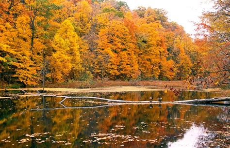 Road Trip From Cleveland To See The Best Fall Foliage In Ohio
