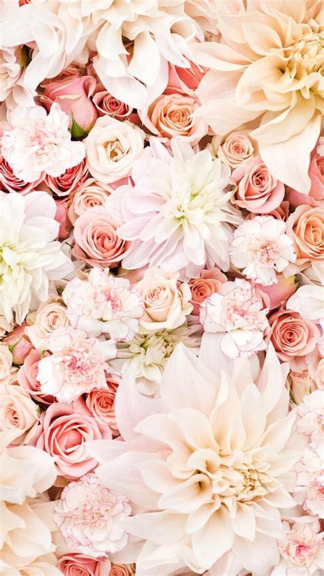 Floral Iphone Wallpaper Follow Prettywallpaper For More