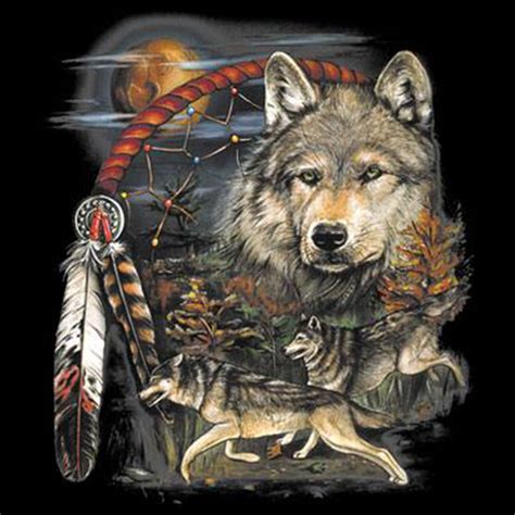 Native American Indian Dream Catcher Wolf Moon Animal Spirit T Shirt