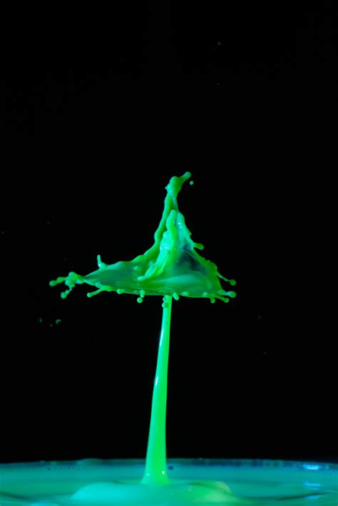 Free Images Liquid Leaf Flower Green Reflection Spray Drip