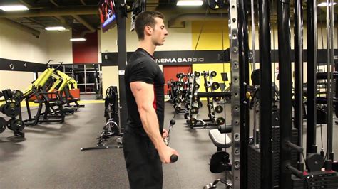 Reverse Grip Ez Bar Pushdown Youtube