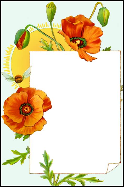 ~* free printable greeting cards *~. Happy Birthday Card for You - Free Printable Greeting Cards