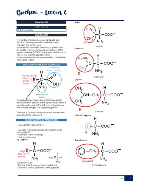 Biochem Lesson 61 Pdf Amino Acid Acid