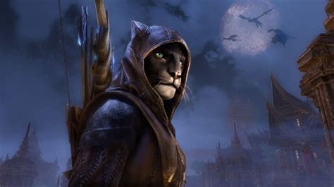 Slay Dragons And Save Cats In The Elder Scrolls Online