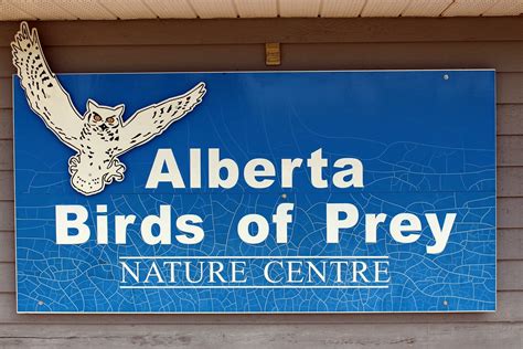 Alberta Birds Of Prey Centre Coaldale Alberta Alberta B Flickr