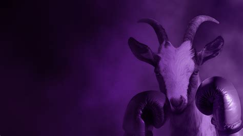 The Inclusive Marketing Agency Award Winning Purple Goat