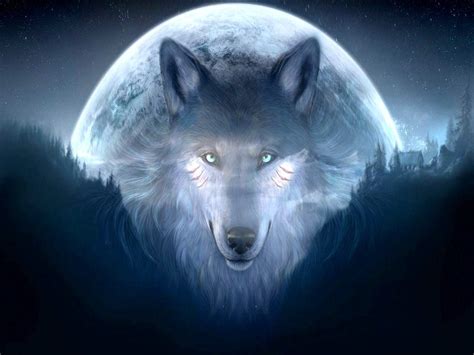 Check spelling or type a new query. Really Cool Wolf Wallpapers - WallpaperSafari