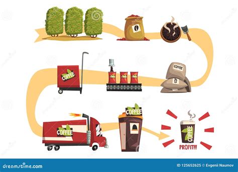 Producción Del Café En Infographic De Proceso Ilustración Del Vector