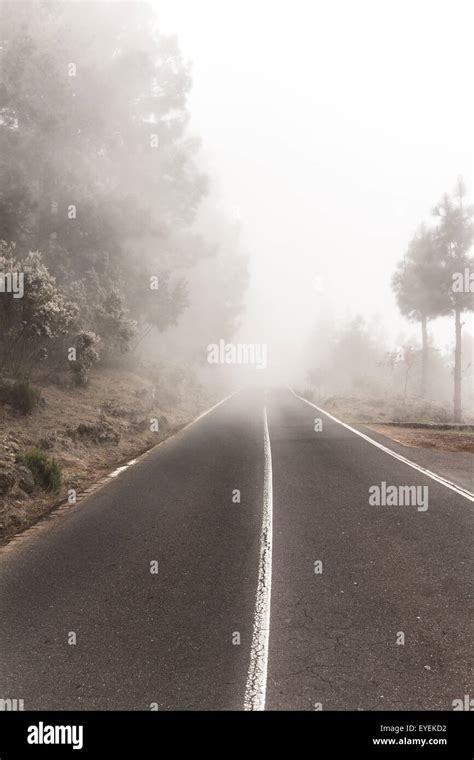 Empty Road In Thick Fog Road To Nowhere Stock Photo Alamy
