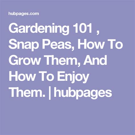 Gardening 101 Snap Peas How To Grow Them And How To Enjoy Them