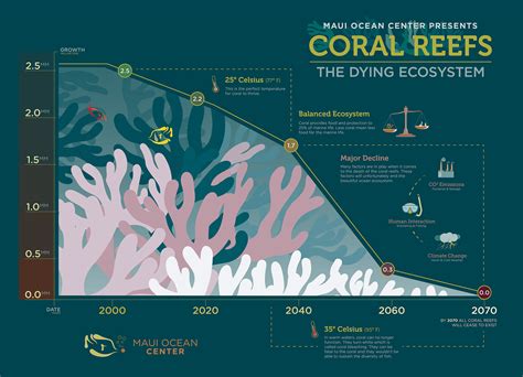 Coral Reefs Infographic Behance