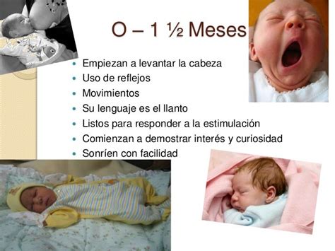 Etapas De Desarrollo Del Bebe De 0 A 12 Meses Consejos De Bebé