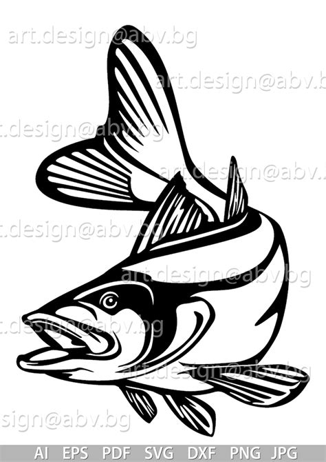 Vector Snook Fish Ai Eps Pdf Png Svg Dxf  Image Etsy