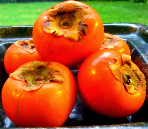 The Girl And Her Camera Persimmons A Tomato And Capsicum Look A Like