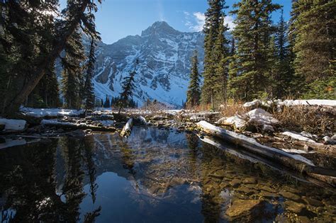 Fonds Decran Canada Parc Hiver Montagnes Lac Banff Picea Buche De Bois