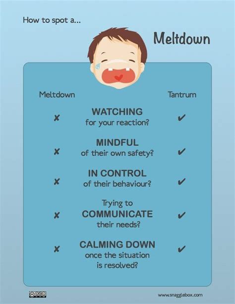 Meltdown Versus Tantrum Autism Meltdowns Education Poster