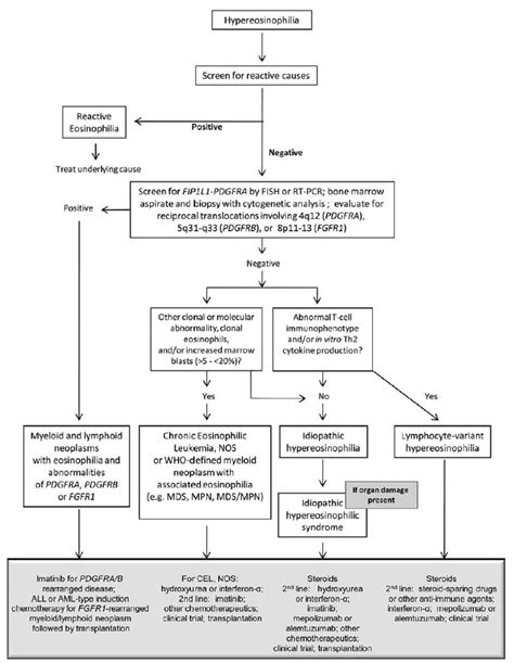 Diagnosis And Treatment Algorithm Based On 2008 Who Classification Of