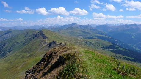 762 Swiss Alps Green Alpine Meadow Hillside Photos Free And Royalty