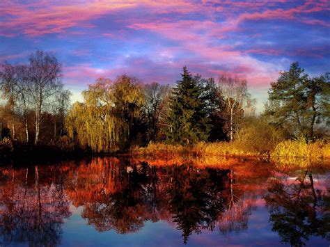 Sunset Lake Trees Landscape Reflection Images Hd Desktop Wallpaper