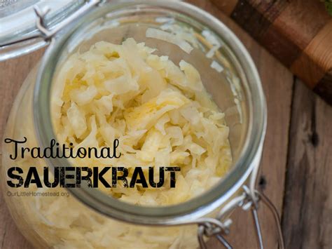 spicy sauerkraut fermenting recipe our little homestead