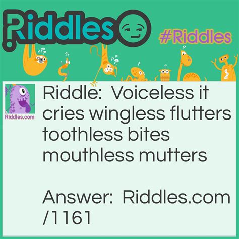 cries flutters and bites riddle and answer