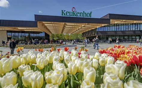 Keukenhof Tulip Gardens Amsterdam Holland Opening Hours Prices