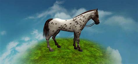 Ao Horse Editor 1 By Cheyennethepony On Deviantart