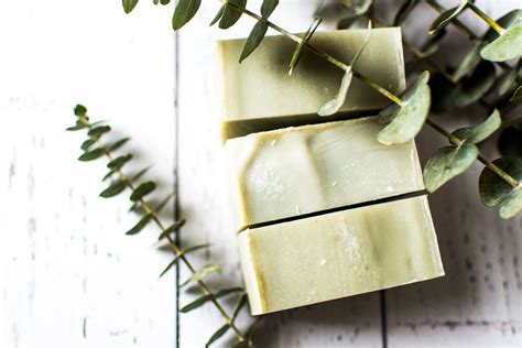 Tea Tree And Eucalyptus Soap Made By Mud And Honey Handmade Soaps Handmade