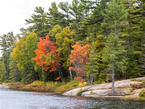 Grundy Lake Provincial Park Camping Your Complete Guide To Camping