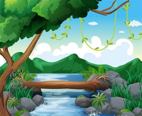 River Clipart Forest Pictures On Cliparts Pub 2020 🔝
