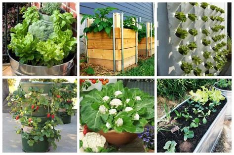 Not only is a garden an excellent way to spruce up your deck or backyard landscaping, but they are also great diy projects for homeowners who enjoy. 10 Easy Container Vegetable Garden Ideas for Your Yard - Ideal Me