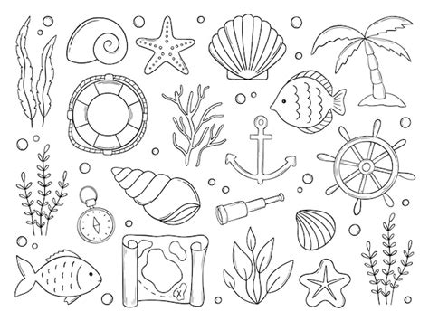 Premium Vector Hand Drawn Set Of Sea Doodle Marine Elements Shells