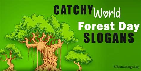 25 Catchy World Forest Day Slogans Save Forest Slogans