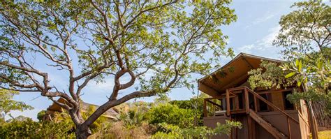 Naara Eco Lodge And Spa Infinite Africa
