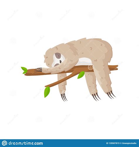 Sloth Laying On The Floor Sleeping Sign Zzz Slow Down Cute Cartoon