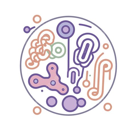 Cell Organelle Icon In Colors And Shapes With An Outline Drawing Vector