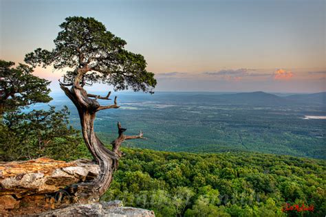 Todd Mikel Smith Photography Arkansas Landscapes Mount Magazine Tree 1