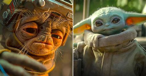 👽 Everyone Has A “star Wars” Alien Species They Belong In — Whats Yours