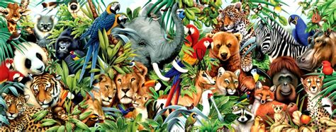 Jungle Animal Wallpaper Wallpapersafari Jungle Animal