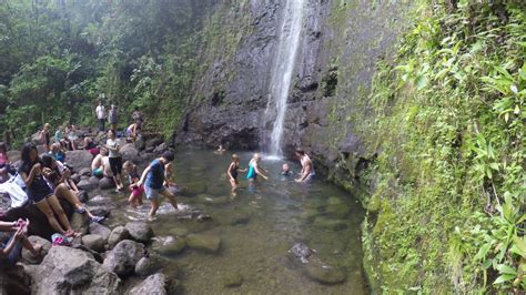 Oahu Hawaii Hiking Manoa Falls Aug 2015 Youtube