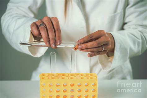 Homeopathic Remedy Preparation Photograph By Microgen Imagesscience