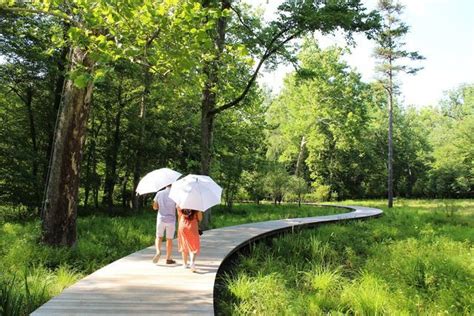 Glenstone Museum On Instagram Sleekly Curving Through The Woods And