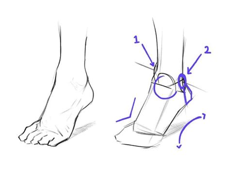 Drawing Anime Hands Drawing Legs Feet Drawing Anime Wolf Drawing