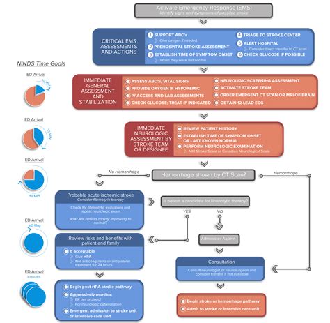 We did not find results for: ProMed Certifications Algorithms | Suspected Stroke ACLS ...