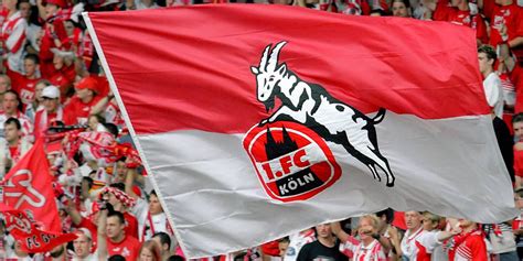 All statistics are with charts. 1. FC Köln: Vereinslogo unter den schönsten Logos der Welt ...